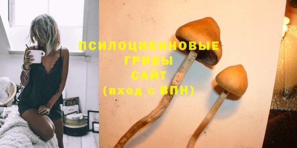 тгк Кукмор