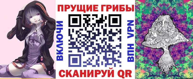 купить наркоту  Шарья  Галлюциногенные грибы GOLDEN TEACHER 